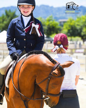 Load image into Gallery viewer, Custom Show Ring Bow Pair